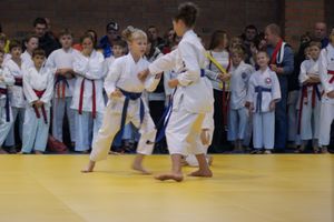 В Великих Луках прошли соревнования по каратэ (ФОТО)