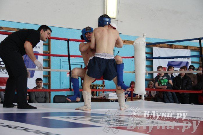 Чемпионат Псковской области по ММА