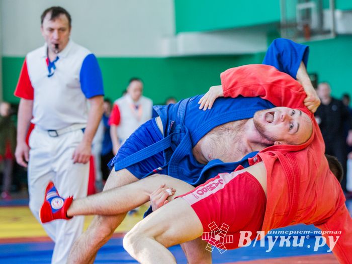 Фото: Александр Воробьев Великолучане завоевали награды Всероссийских соревнований по самбо