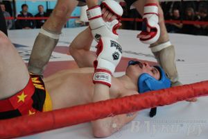 Чемпионат Псковской области по ММА