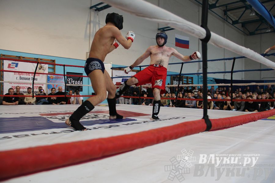 Открытый Кубок города Великие Луки по смешанному боевому единоборству (ММА)