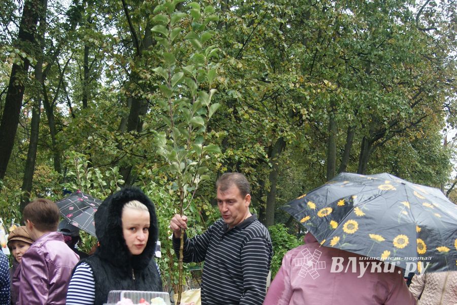 ​Универсальная торговая ярмарка «Осень – 2014» состоялась  в Великих Луках