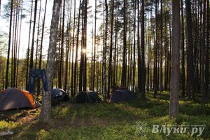 Фестиваль танцевальной музыки в Сенчитах (фото)