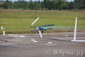 В Великих Луках прошли воздушные бои (фото)