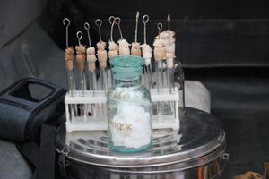 В Великих Луках началась Всероссийская штабная тренировка (ФОТО)