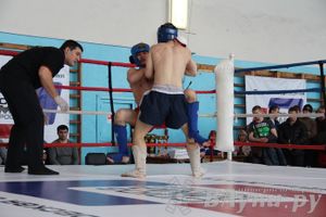 Чемпионат Псковской области по ММА
