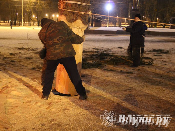 В Великих Луках установили новогоднюю елку (фото)