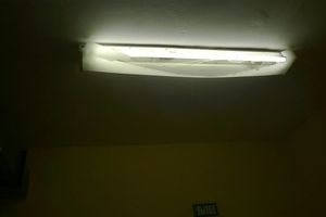 Великолучане жалуются на антисанитарию в Великолукской детской городской больнице (фото)