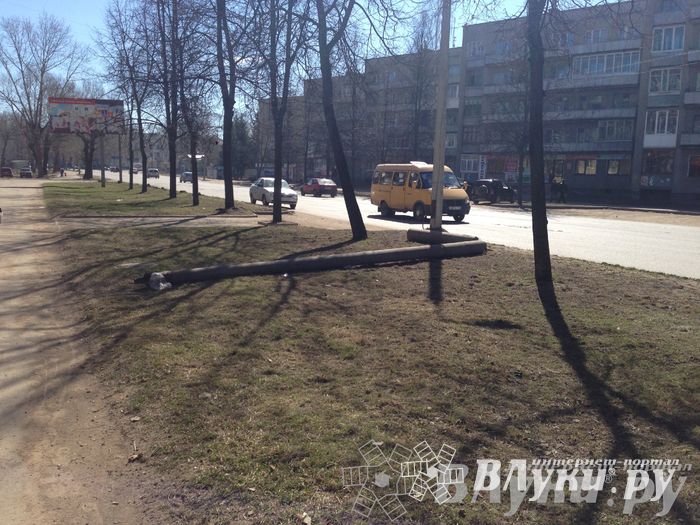 Весне дорогу!