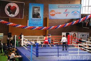16-й Международный турнир по боксу (фото)