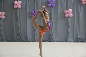 ​В Великих Луках проходит Открытое Первенство по художественной гимнастике (ФОТО) (0+)