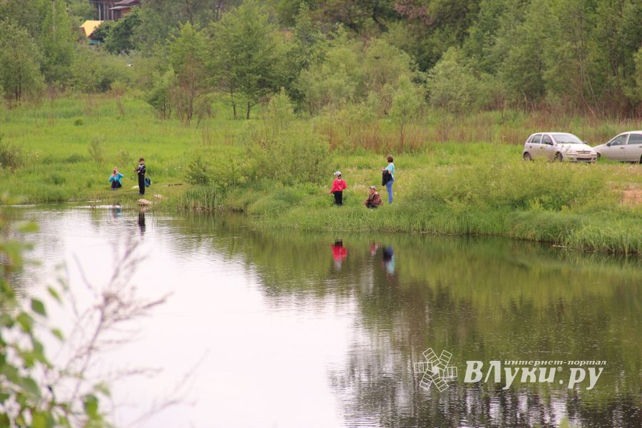 Чемпионат Великих Лук по ловле спиннингом: клевала, но мало (ФОТО)