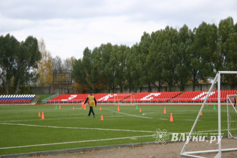 «Шиповка юных»