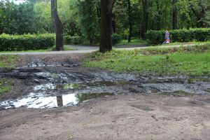 Великие Луки после дождичка в четверг (ФОТО)