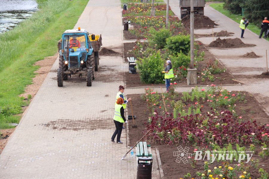 В Великих Луках сажают, стригут и красят (ФОТО)