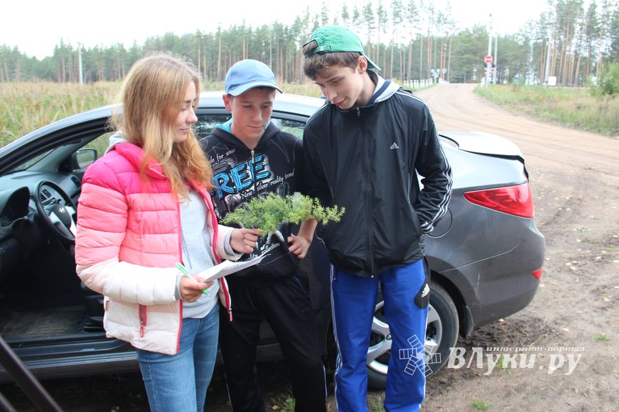 В лагере «Солнечный» прошел ежегодный 20 турслет (фото)