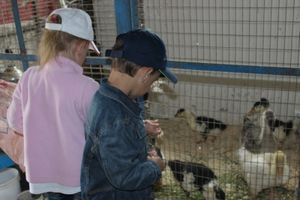 Увлекательную экскурсию для детей организовал Общественный совет при УМВД России по Псковской области (фото)