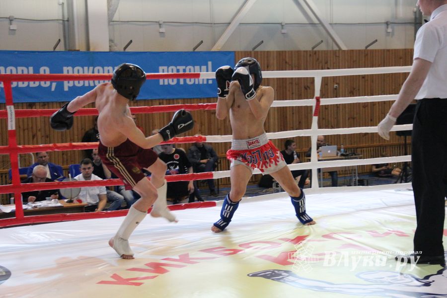 В Великих Луках прошел Кубок области по кикбоксингу (ФОТО)