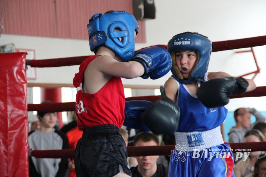 В Великих Луках прошло Первенство города по боксу (ФОТО)