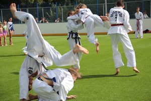 День спорта в День города: сила, мужество и грация (ФОТО)