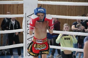 В Великих Луках прошел Кубок области по кикбоксингу (ФОТО)