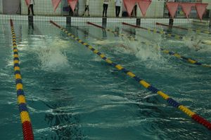 Первый «Быстрый кашалот» в Великих Луках  (фото)