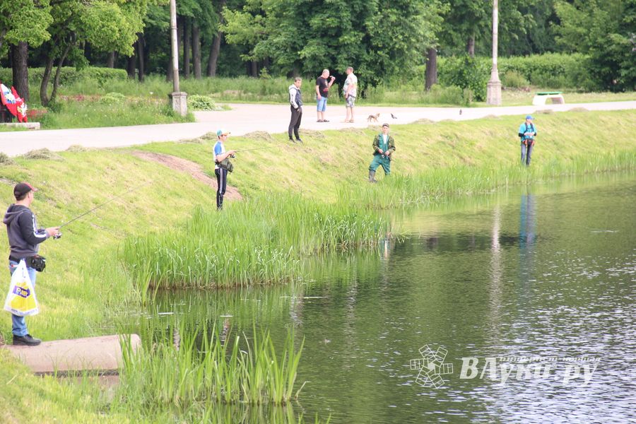 Чемпионат Великих Лук по ловле спиннингом: клевала, но мало (ФОТО)