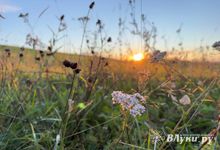 Антициклон ещё долго будет дарить нам тёплую погоду