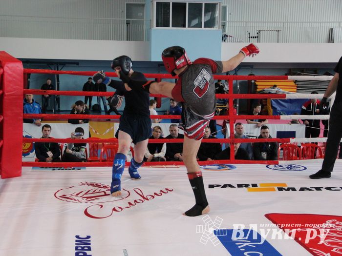 Открытый кубок по смешанному боевому единоборству ММА прошел в Великих Луках (ФОТО)