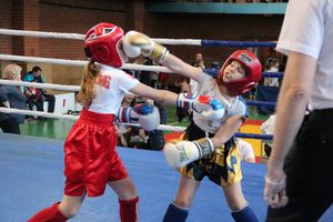 В Великих Луках прошли соревнования по кикбоксингу (ФОТО)