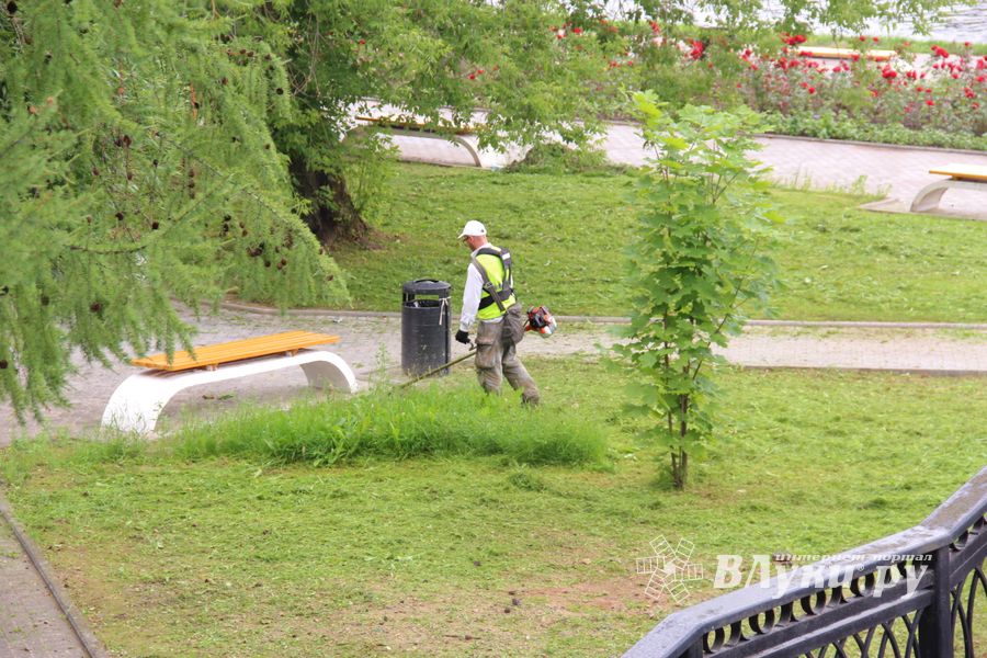 В Великих Луках сажают, стригут и красят (ФОТО)