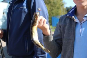 Большой спортивный праздник в Великих Луках (ФОТО)