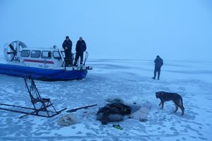 112 правонарушений выявлено сотрудниками рыбоохраны в Псковской области за три месяца (фото)