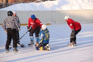 Великолукский хоккей: много забитых шайб и немного потасовок и разбитых лиц (фото)