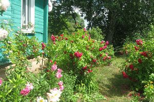 Подведены итоги конкурса по благоустройству поселка Переслегино (фото)