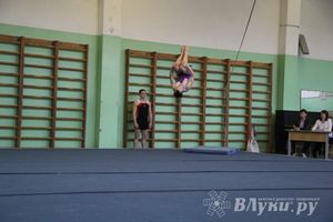 В Великих Луках состоялось  Первенство города по спортивной гимнастике (фото)