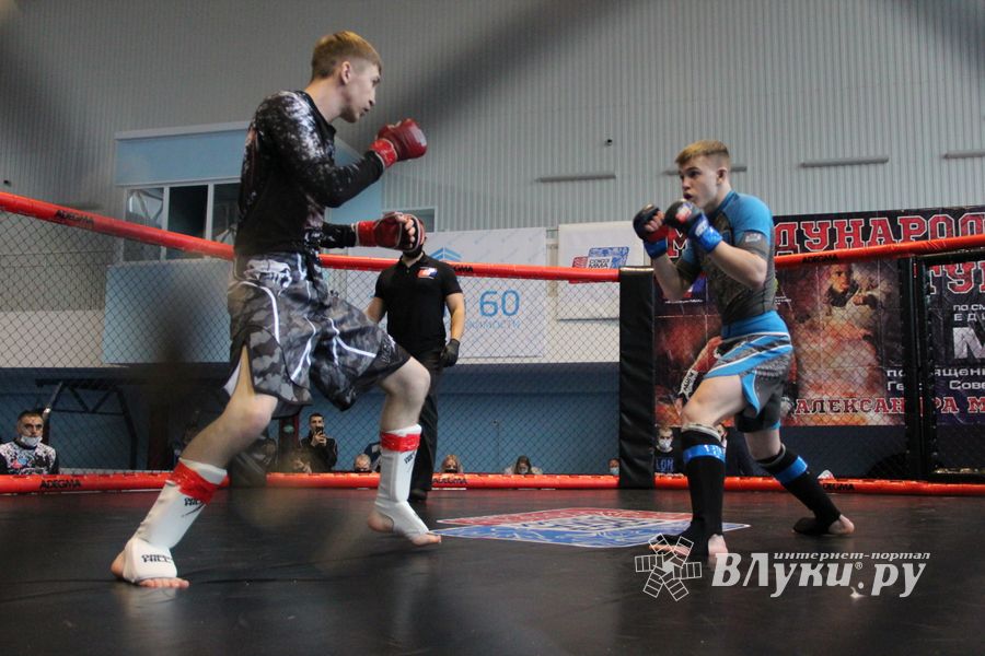В Великих Луках прошел кубок по смешанному боевому единоборству (ФОТО)