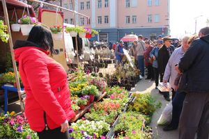 СТЦ «СтройСам» порадовал великолучан на универсальной ярмарке «Весна-2018» (ФОТО)