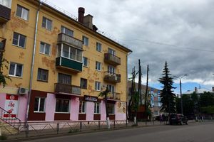 Великолукские тополя: пуха не будет (ФОТО)