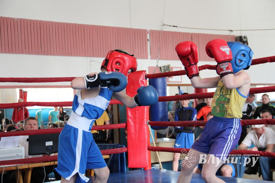 В Великих Луках прошло Первенство города по боксу (ФОТО)