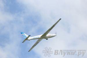 IV Фестиваль авиамодельного спорта России в классе радиоуправляемых моделей