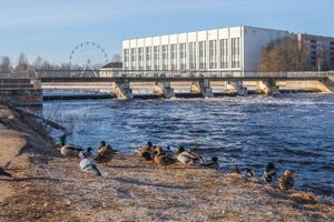 ВЛуки.ру