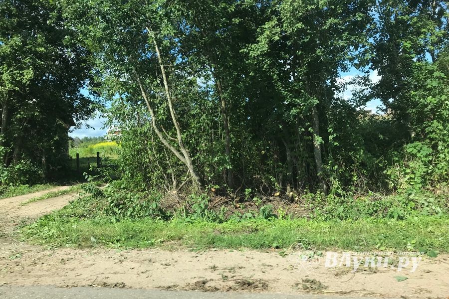 Дачников Великих Лук порадовали районные дорожники (ФОТО)