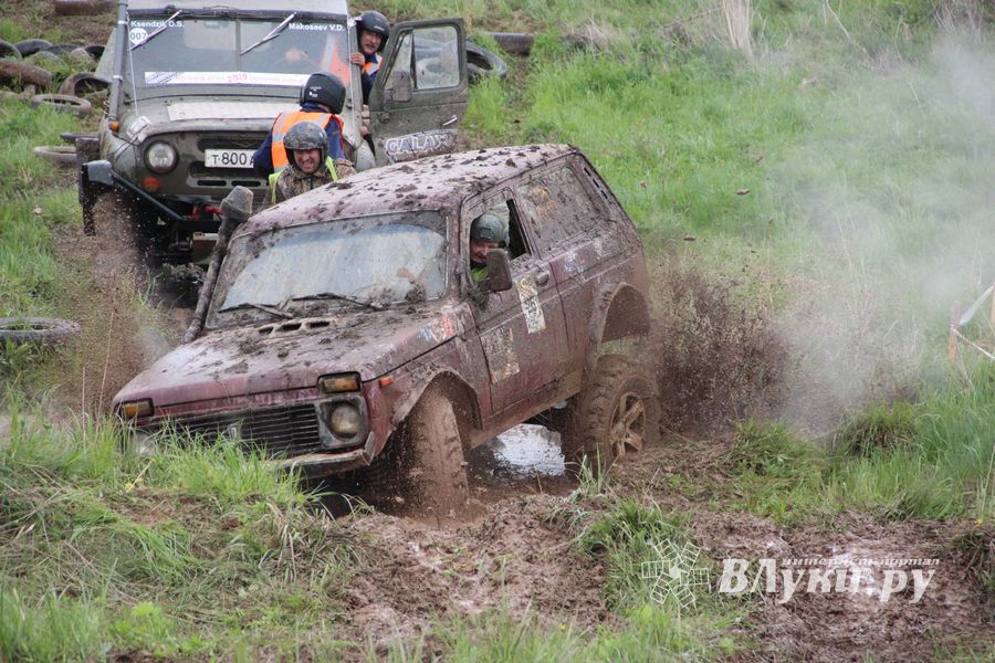 Кураж (ФОТО)