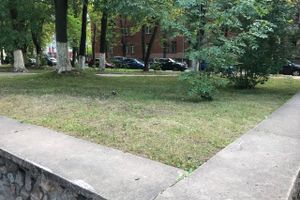 Парк Пушкина: «... А вкруг меня глухое запустенье...» (ФОТО)