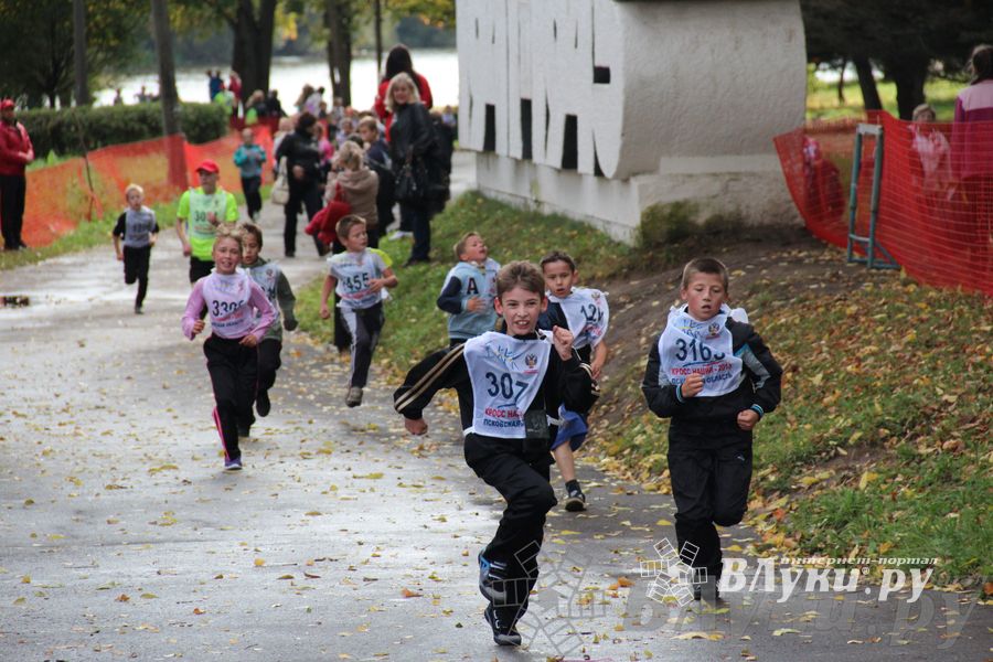 Кросс нации