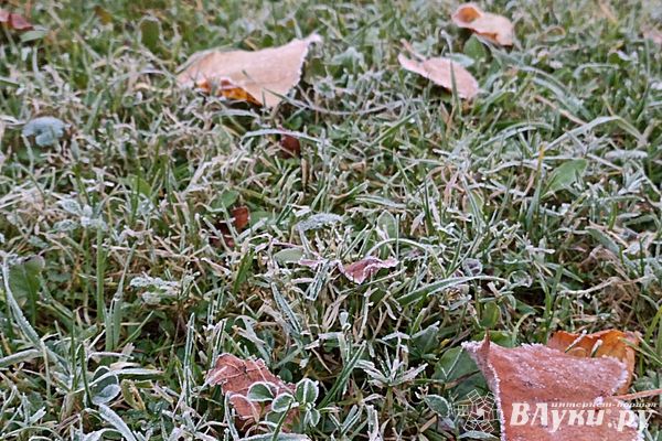 Сегодня в Великих Луках ожидается переменная облачность