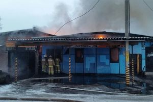 В Великих Луках сгорел автосервис (фото)