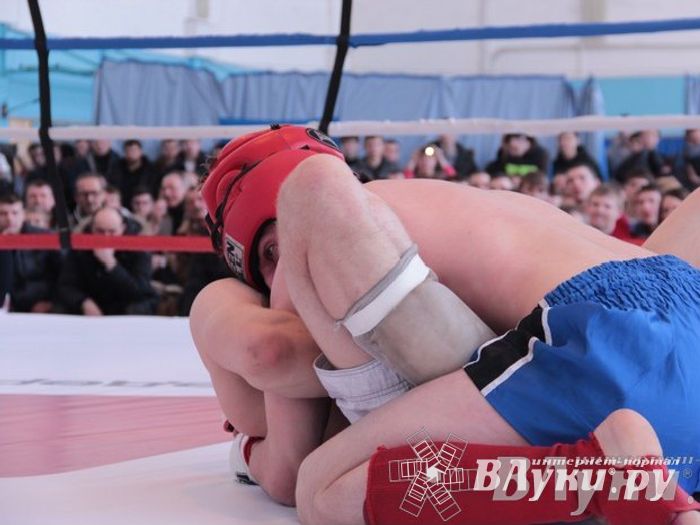 Чемпионат Псковской области по ММА