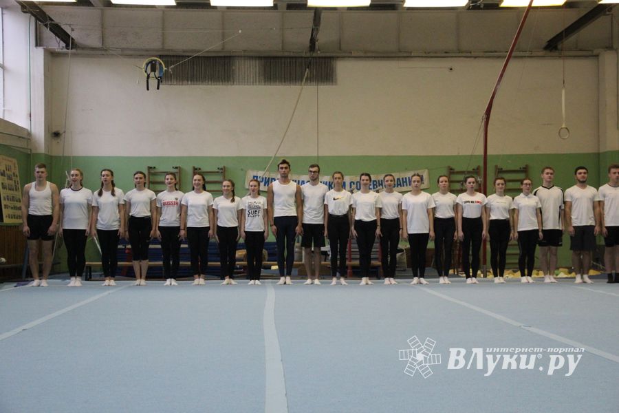 В Великих Луках проходят соревнования по гимнастике (ФОТО)